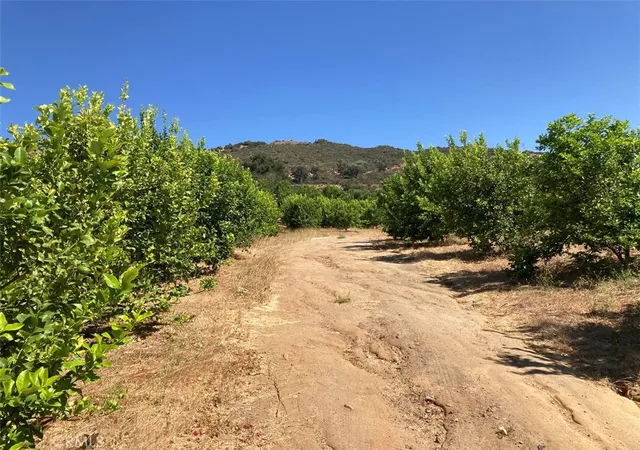 4th image of 39 Carancho Rd, Temecula, CA 92590 | MLS# SW26056548