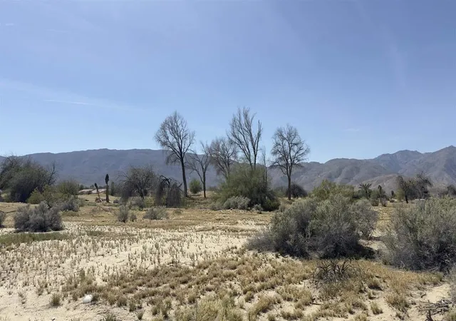 5th image of Lot 32 Foursome Dr, Borrego Springs, CA 92004 | MLS# NDP2602444