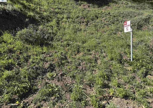 Photo 2 of Land for sale at 0 Charing Cross Rd, Oakland, CA 94603 | MLS# 41127396 | Listing updated on 2026-09-30