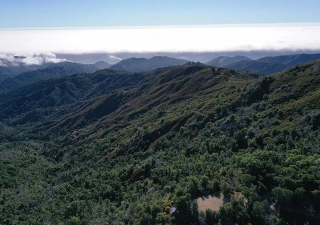 11th image of 38875 Palo Colorado Rd, Carmel, CA 93923 | MLS# ML82038851