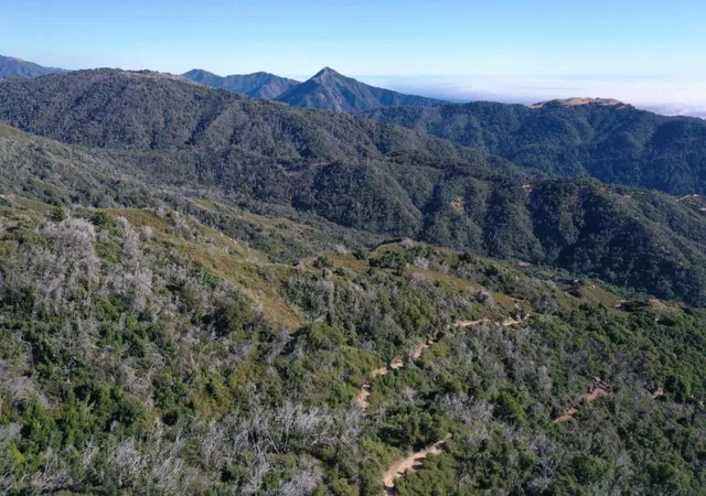 4th image of 38875 Palo Colorado Rd, Carmel, CA 93923 | MLS# ML82038851