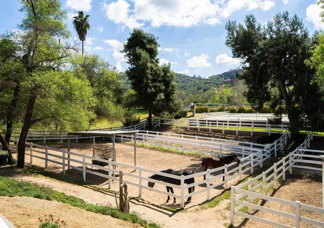 Homes for sale in Bonsall, CA | 7017 Via Mariposa Sur, Bonsall, CA 92003 | MLS# NDP2602468