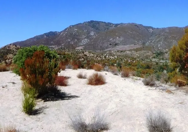 Photo 3 of Land for sale at 37245 Old Forest Rd, Anza, CA 92539 | MLS# PTP2602007 | Listing updated on 2026-06-02