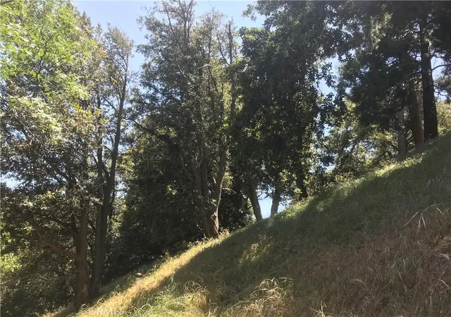 2nd image of 0 Buck Rd, Cedarpines Park, CA 92322 | MLS# PW26057574