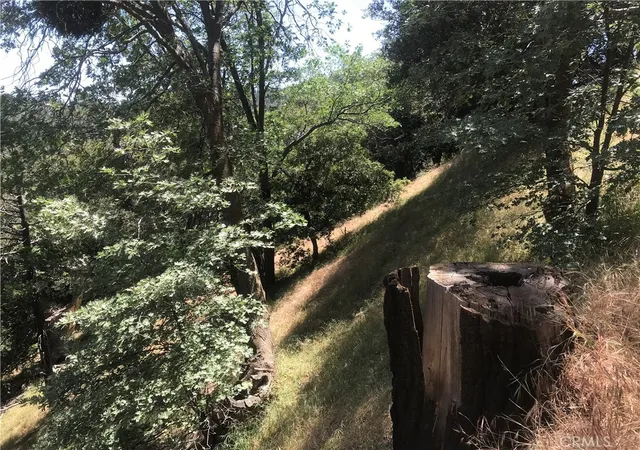 4th image of 0 Buck Rd, Cedarpines Park, CA 92322 | MLS# PW26057574