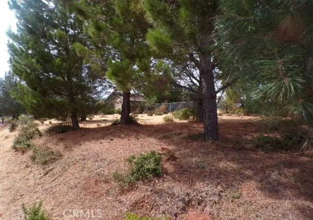 Photo 1 of Land for sale at 10265 Fairway Dr, Kelseyville, CA 95451 | MLS# LC26058257 | Listing updated on 2026-03-17