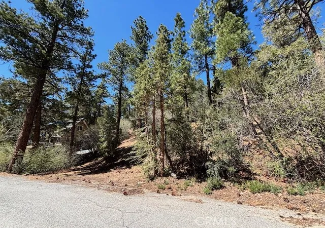 Photo 3 of Land for sale at 0 E Rainbow Blvd, Big Bear City, CA 92314 | MLS# IG26058503 | Listing updated on 2026-03-18
