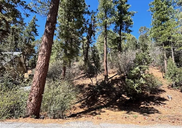Photo 4 of Land for sale at 0 E Rainbow Blvd, Big Bear City, CA 92314 | MLS# IG26058503 | Listing updated on 2026-03-18