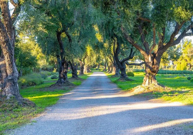 Homes for sale in Los Olivos, CA | 2480 Roblar Ave, Los Olivos, CA 93441 | MLS# ML82039192