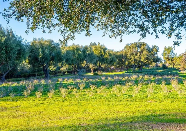 Homes for sale in Los Olivos, CA | 2480 Roblar Ave, Los Olivos, CA 93441 | MLS# ML82039192