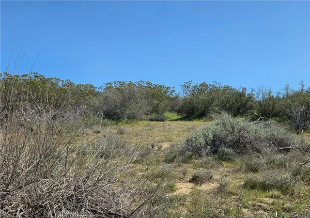 14th image of 0 Pony Trail, Anza, CA 92539 | MLS# SW26058089