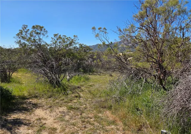 3rd image of 0 Pony Trail, Anza, CA 92539 | MLS# SW26058089