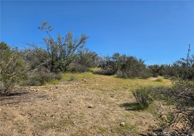 4th image of 0 Pony Trail, Anza, CA 92539 | MLS# SW26058089