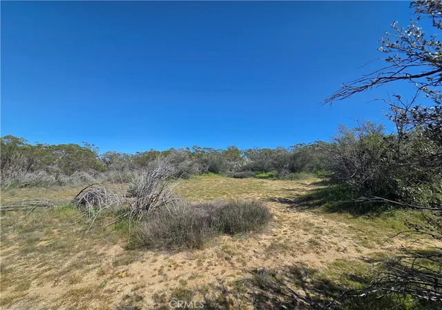 5th image of 0 Pony Trail, Anza, CA 92539 | MLS# SW26058089