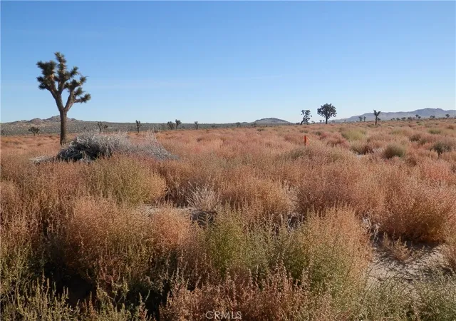 Photo 2 of Land for sale at 0 E 110 E/ Ave O12, Palmdale, CA 93591 | MLS# PW26059971 | Listing updated on 2026-09-11