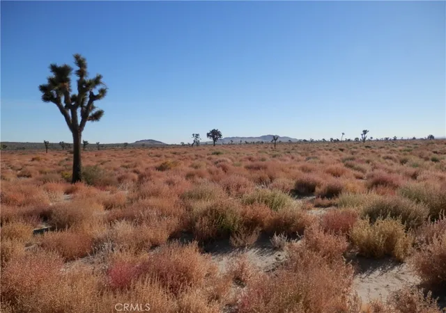 Photo 4 of Land for sale at 0 E 110 E/ Ave O12, Palmdale, CA 93591 | MLS# PW26059971 | Listing updated on 2026-09-11