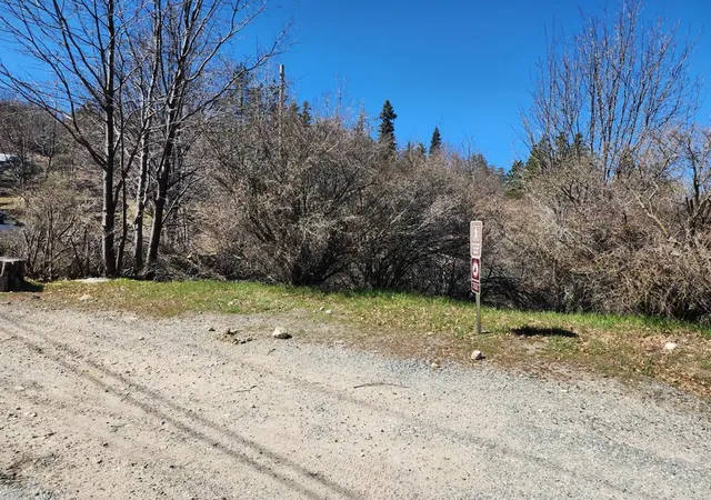 4th image of 0 Elder Dr, Cedar Glen, CA 92321 | MLS# 219145058DA