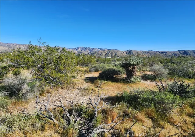 5th image of 0 Cheyenne/Polaris, Morongo Valley, CA 92256 | MLS# JT26059930