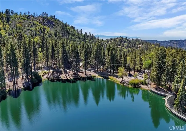 41st image of 33338 Wild Rose, Green Valley Lake, CA 92341 | MLS# IG26057324