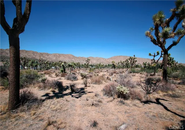 Homes for sale in Yucca Valley, CA | 7777 Onaga Trl, Yucca Valley, CA 92284 | MLS# JT26060851