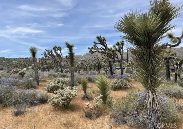Homes for sale in Yucca Valley, CA | 7777 Onaga Trl, Yucca Valley, CA 92284 | MLS# JT26060851
