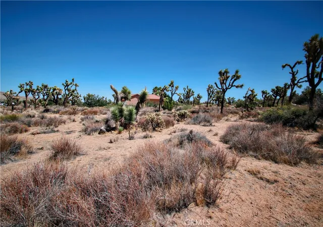 Homes for sale in Yucca Valley, CA | 7777 Onaga Trl, Yucca Valley, CA 92284 | MLS# JT26060851