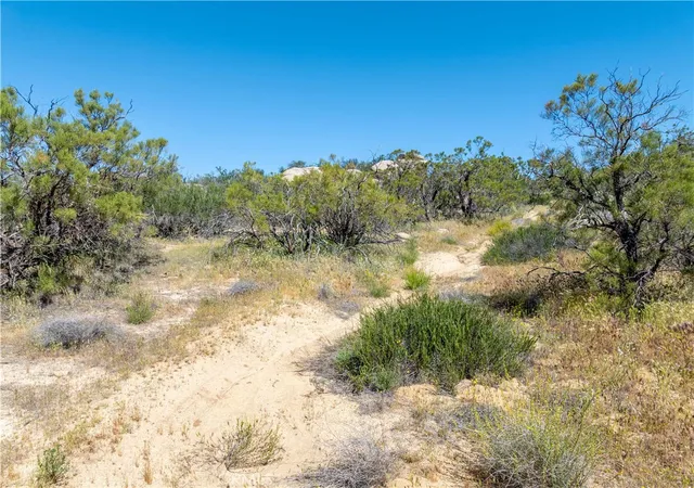 4th image of 24 Ruben Dr, Aguanga, CA 92536 | MLS# SW26060861