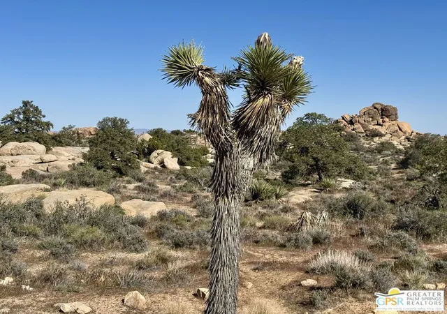 1st image of 0 Parsons Ranch Rd, Pioneertown, CA 92268 | MLS# 26667591PS