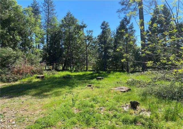 2nd image of 13784 Curtis Ct, Magalia, CA 95954 | MLS# SN26061300