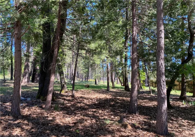 2nd image of 13790 Curtis Ct, Magalia, CA 95954 | MLS# SN26061313