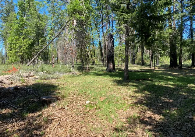 4th image of 13790 Curtis Ct, Magalia, CA 95954 | MLS# SN26061313