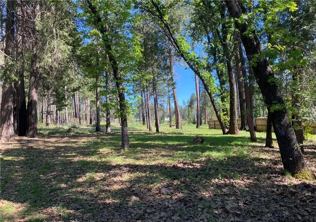 5th image of 13790 Curtis Ct, Magalia, CA 95954 | MLS# SN26061313