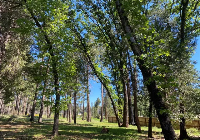 7th image of 13790 Curtis Ct, Magalia, CA 95954 | MLS# SN26061313