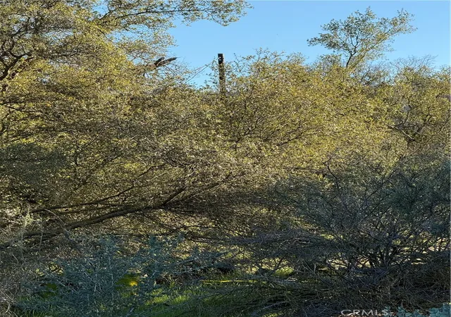 25th image of 0 Long Hollow Lot 1631, Coarsegold, CA 93614 | MLS# FR26059699