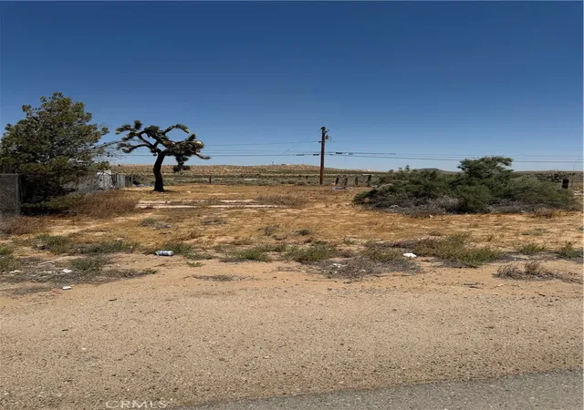 3rd image of 26081 20 Mule Team, Boron, CA 93516 | MLS# SR26061411