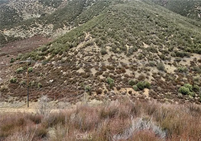 13th image of 38351 Bouquet Canyon Road, Leona Valley, CA 93551 | MLS# SR26061941