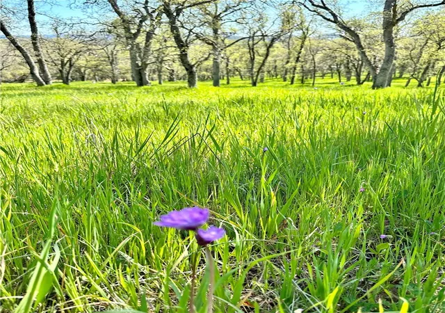 Photo 1 of Land for sale at 18461 Old Wards Fry Rd, Sonora, CA 95370 | MLS# OC26062044 | Listing updated on 2026-06-08