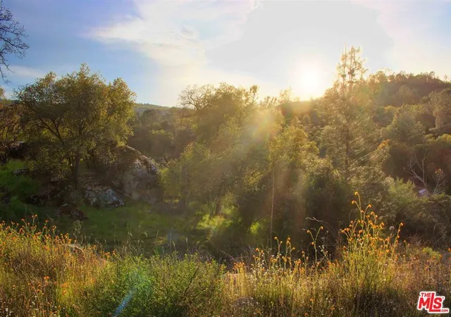 Photo 1 of Land for sale at 41924 Patrick Ave #TPN4337/5, Coarsegold, CA 93614 | MLS# 26667883 | Listing updated on 2026-09-30