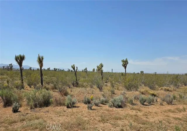 1st image of 0 173rd E W 12, Llano, CA 93544 | MLS# SR26057908