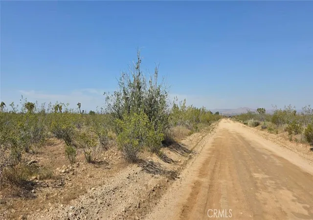 2nd image of 0 173rd E W 12, Llano, CA 93544 | MLS# SR26057908