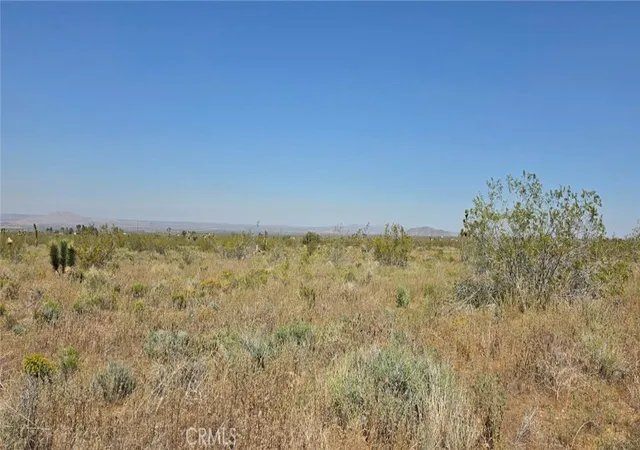 4th image of 0 173Rd E W-12, Llano, CA 93544 | MLS# SR26057908