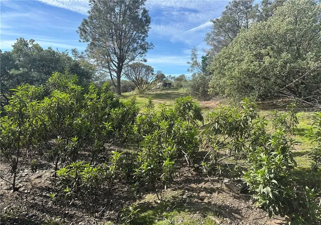 2nd image of 0 Quartz Ridge Ct, Coarsegold, CA 93614 | MLS# FR26062753