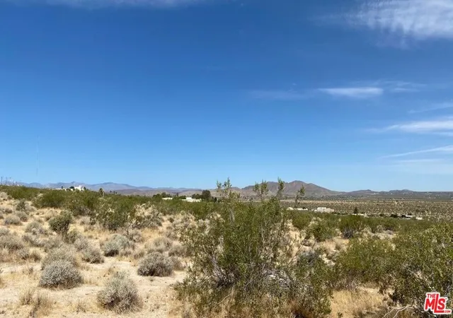 3rd image of 6800 Mojave Ranch Rd, Joshua Tree, CA 92252 | MLS# 26668629