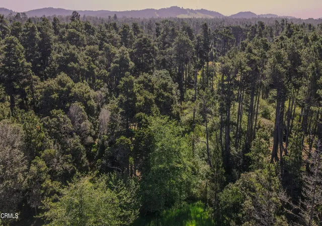 3rd image of 23401 California Hwy 1, Fort Bragg, CA 95437 | MLS# C1-11304