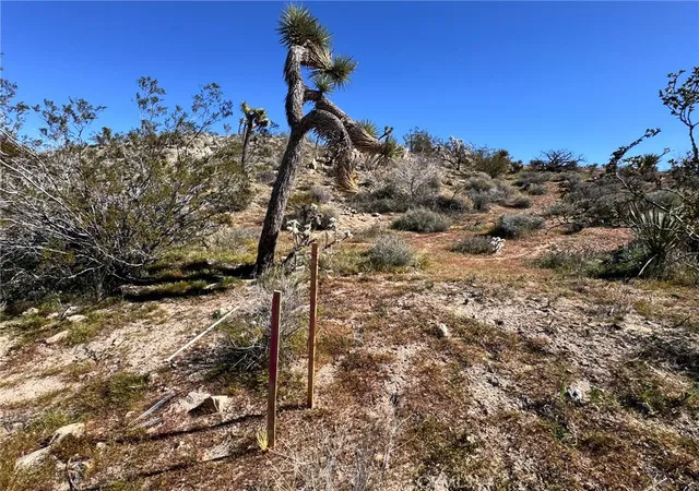 14th image of 0 Hilton, Yucca Valley, CA 92284 | MLS# IV25239042
