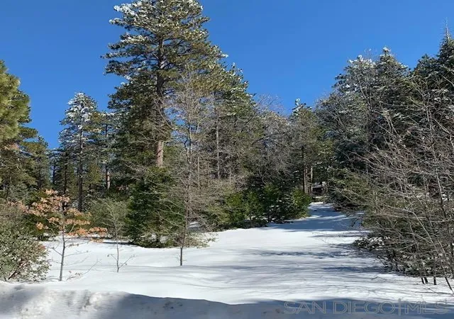 Photo 1 of Land for sale at 0 Laurel Trl, Idyllwild, CA 92549 | MLS# 260006886SD | Listing updated on 2026-04-21