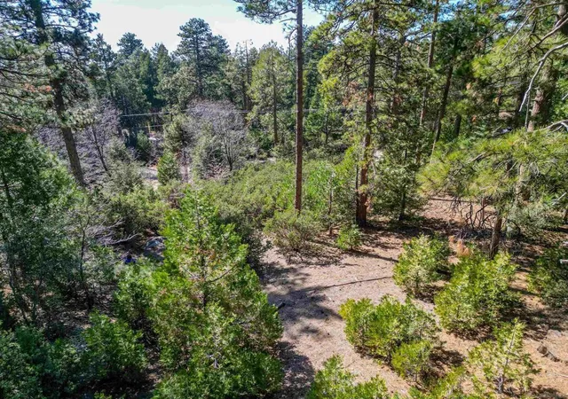 Photo 3 of Land for sale at 0 Laurel Trl, Idyllwild, CA 92549 | MLS# 260006886SD | Listing updated on 2026-04-21