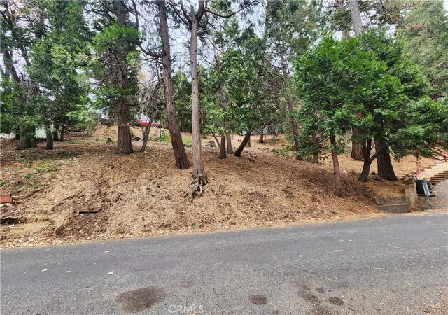 3rd image of 24397 Horst Dr, Crestline, CA 92325 | MLS# IG26064099