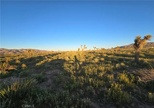 3rd image of 55 Japatul Rd, Apple Valley, CA 92308 | MLS# HD26064088