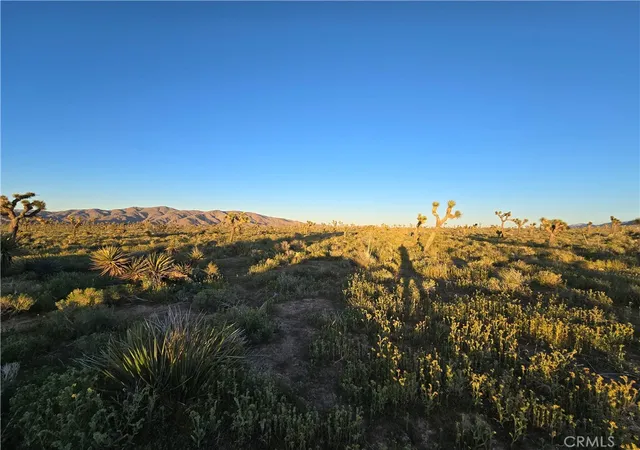 4th image of 55 Japatul Rd, Apple Valley, CA 92308 | MLS# HD26064088